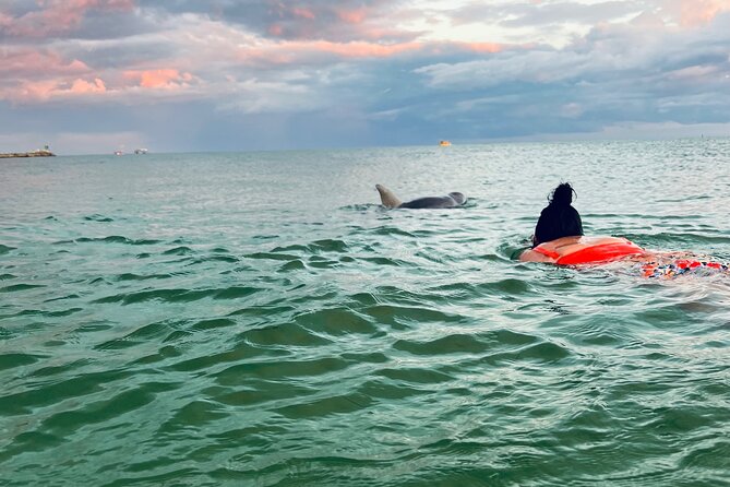 Destin Private Boat Tours Dolphin Crab Island Snorkel Sunset - A private boat instead of a fixed sightseeing circuit