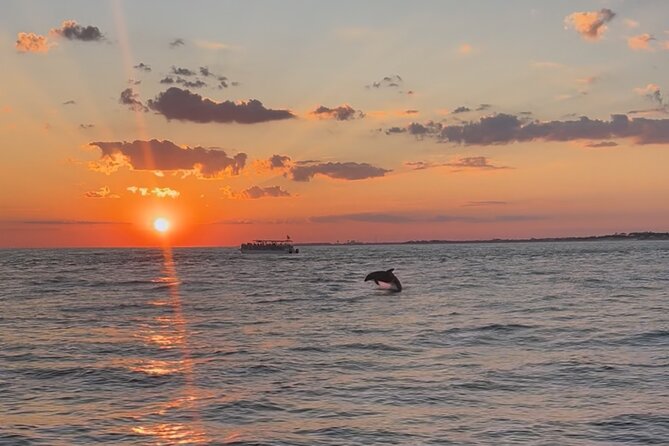 Destin Private Boat Tours Dolphin Crab Island Snorkel Sunset - Starting at Destin Harbor on Harbor Boulevard