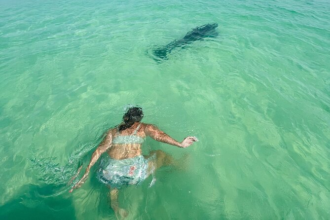 Destin Private Boat Tours Dolphin Crab Island Snorkel Sunset - Fireworks and other custom plans