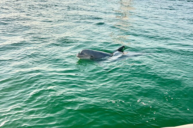 Destin Private Boat Tours Dolphin Crab Island Snorkel Sunset - What the two to eight hour range means