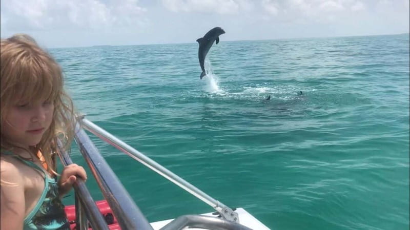 Destin: Snorkeling Cruise with 2 Stops and Dolphin Watching - The Ride To A Second Site