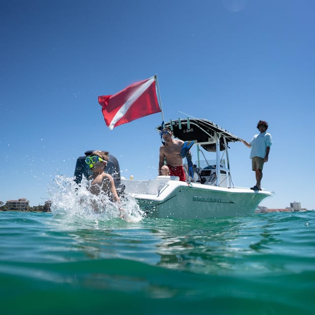Destin: Snorkeling, Dolphins, and Crab Island - A private boat instead of a crowded excursion