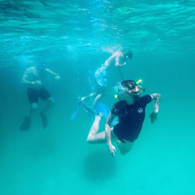 Destin: Snorkeling, Dolphins, and Crab Island - Choosing between the grass flats and the jetties