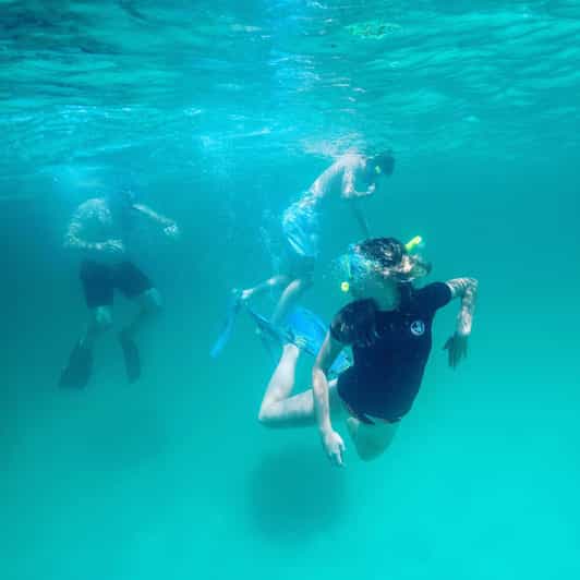 Destin: Snorkeling, Dolphins, and Crab Island - Dolphin watching in the East Pass