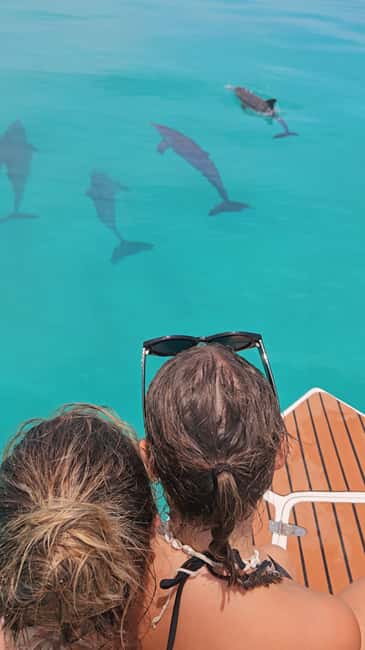 Dhiffushi Dolphin Cruise - What the Dhiffushi dolphin cruise is really like