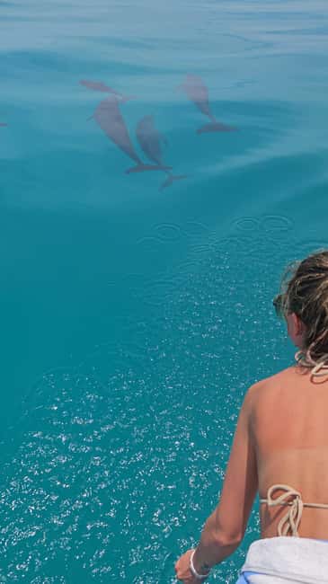 Dhiffushi Dolphin Cruise - Finding dolphins near the island or offshore