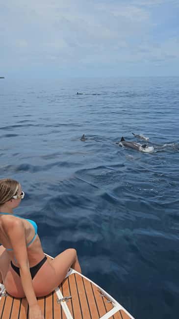Dhiffushi Dolphin Cruise - Leaving Dhiffushi Jetty by speedboat