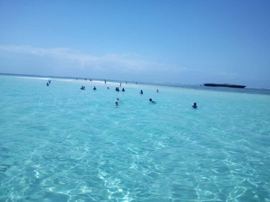 Diani: Wasini Island Dolphin Watching and Snorkeling Tour - Why this Diani to Wasini day trip works