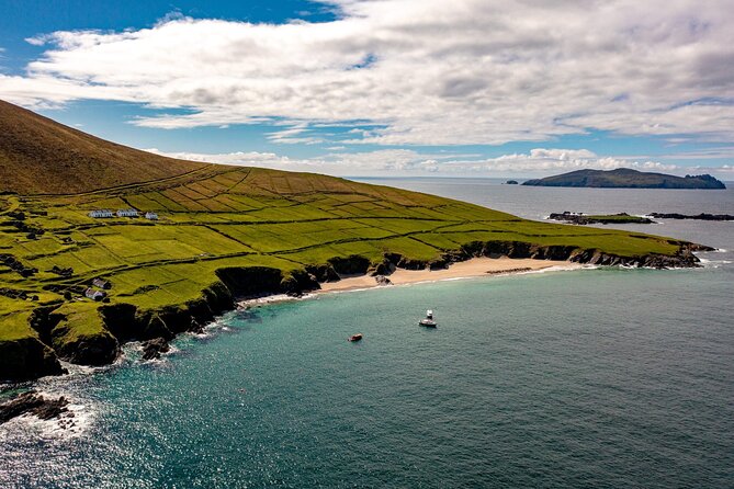 Dingle Dolphin Blasket Adventures - Key points before you book