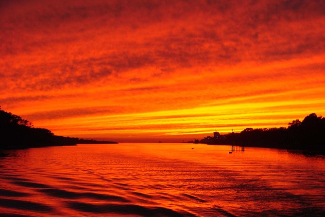 Dinner Cruise with Dolphin Watching from Cape May - Why this Cape May sunset cruise works