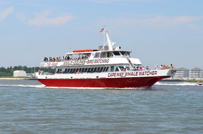 Dinner Cruise with Dolphin Watching from Cape May - Is $89.95 a good value?