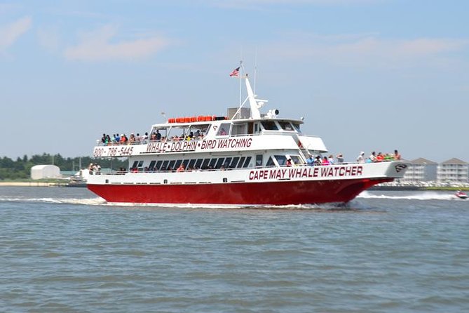 Dinner Cruise with Dolphin Watching from Cape May - The Cape May Lighthouse from the bay