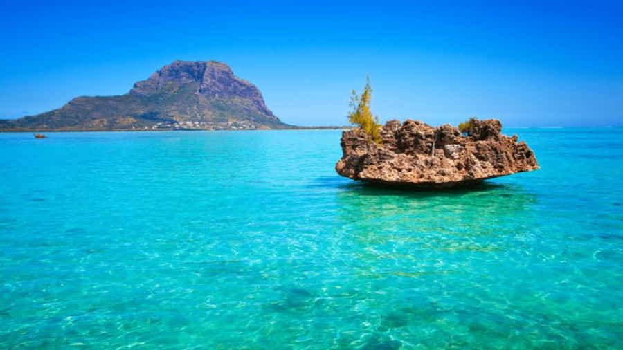 Discover Mauritius: Dolphin Watch, Snorkeling, BBQ Lunch - Setting out on the catamaran