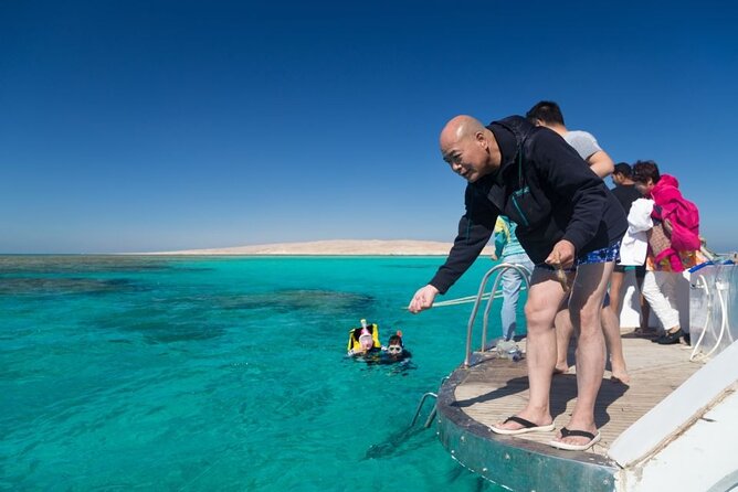 Discover the Magic in Snorkeling Expedition to Dolphin House - What your seven-hour day looks like