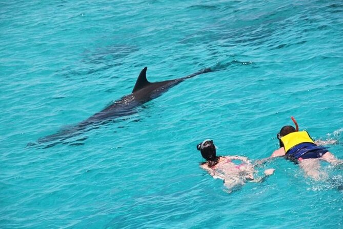 Discover the Magic in Snorkeling Expedition to Dolphin House - Lunch and the boat atmosphere