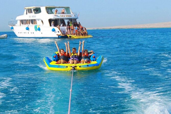 Discover the Magic in Snorkeling Expedition to Dolphin House - Is $10.80 really the full price?