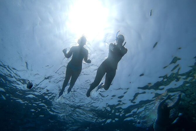 Discover the Magic in Snorkeling Expedition to Dolphin House - Pickup, timing, and group size