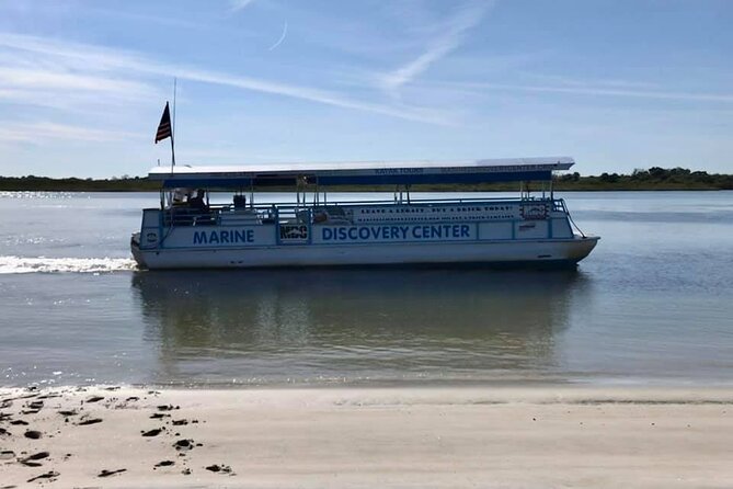 Discovery Dolphin Boat Tour - Key points to know