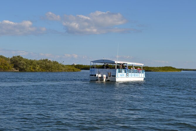 Discovery Dolphin Boat Tour - A calm introduction to the Indian River Lagoon