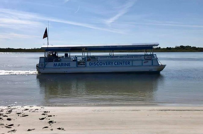 Discovery Dolphin Boat Tour - Who should book this boat trip