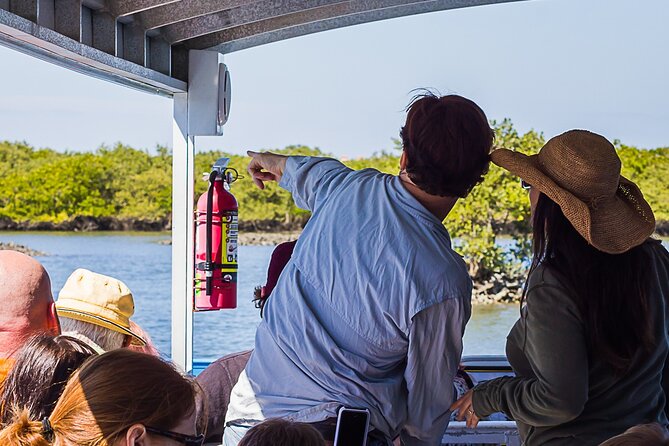 Discovery Dolphin Boat Tour - Dolphins are the draw, but they are not the whole story