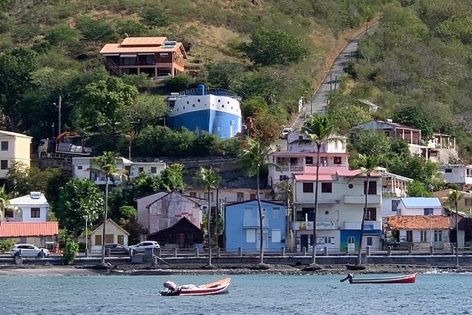 Discovery of dolphins on the Caribbean coast - Who will enjoy this morning on the water?