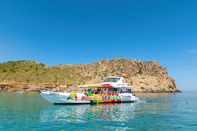 Dolphin Adventure: Fast Boat Dolphin Watching in Mallorca - Who will enjoy this dolphin trip most