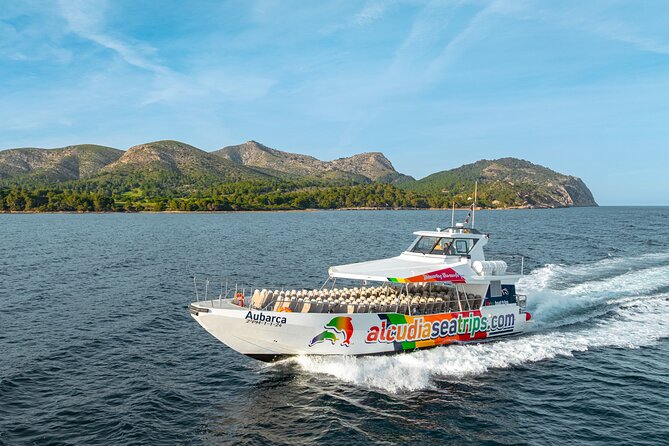 Dolphin Adventure: Fast Boat Dolphin Watching in Mallorca - AUBARCA, the 2025 boat built for speed