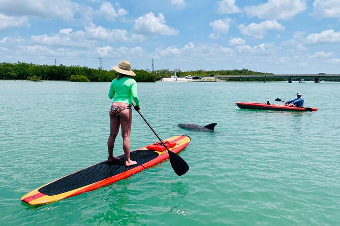 Dolphin and Manatee Adventure Tour of Fort Myers - A beach stop for shells and coastal views