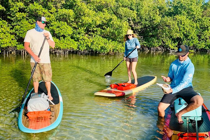 Dolphin and Manatee Adventure Tour of Fort Myers - Timing, weather, and practical planning