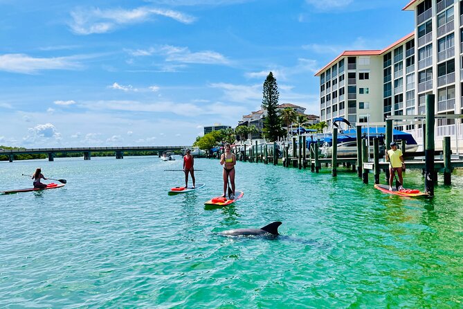 Dolphin and Manatee Adventure Tour of Fort Myers - Who should book this Fort Myers tour