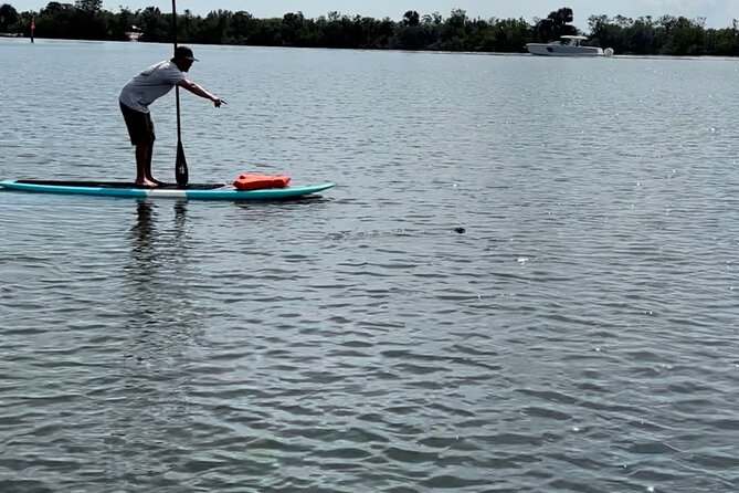 Dolphin and Manatee Adventure Tour of Merritt Island - Who will enjoy this paddle most?