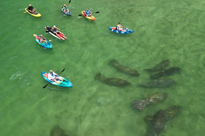 Dolphin and Manatee Adventure Tour of Naples with Florida History - The first few minutes: lesson before launch