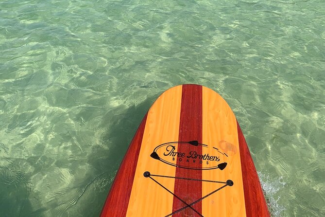 Dolphin and Manatee Adventure Tour of Naples with Florida History - The value of $65 per person