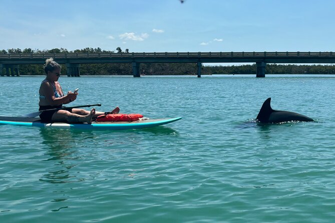 Dolphin and Manatee Adventure Tour of Naples with Florida History - On the water: wildlife, history, and local detail