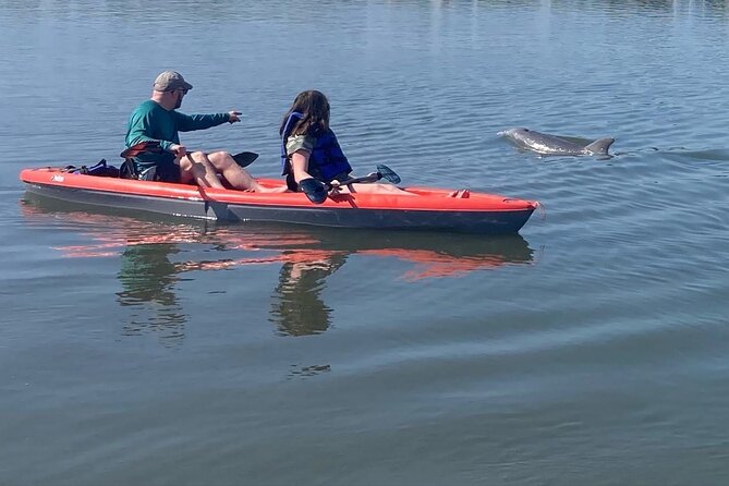 Dolphin and Manatee Adventure tour of Osprey with Florida History - Paddling into Little Sarasota Bay from Osprey