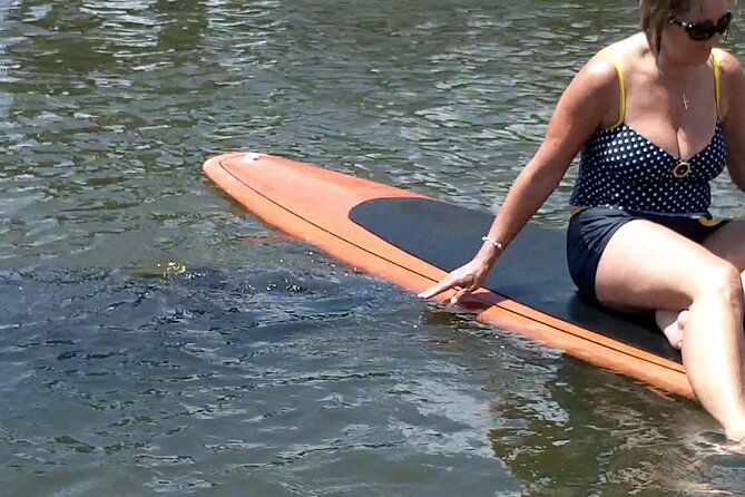 Dolphin and Manatee Adventure tour of Osprey with Florida History - Searching for dolphins and West Indian manatees