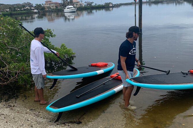 Dolphin and Manatee Adventure Tour of Sarasota with Olde Florida History! - Starting in Osprey, south of Sarasota