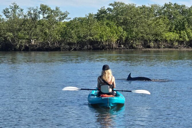 Dolphin and Manatee Adventure Tour of Sarasota with Olde Florida History! - Dolphins close to the kayaks