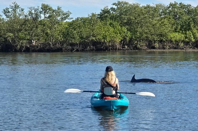 Dolphin and Manatee Adventure Tour of Sarasota with Olde Florida History! - Mangroves, birds, and old Florida stories
