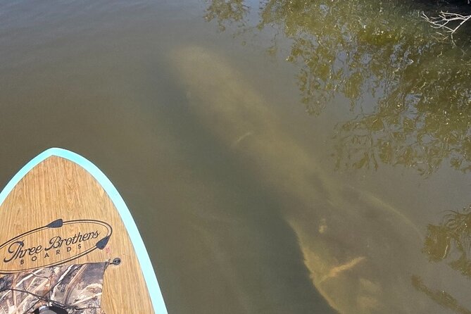 Dolphin and Manatee Adventure Tour of Sarasota with Olde Florida History! - Is $65 a fair price?