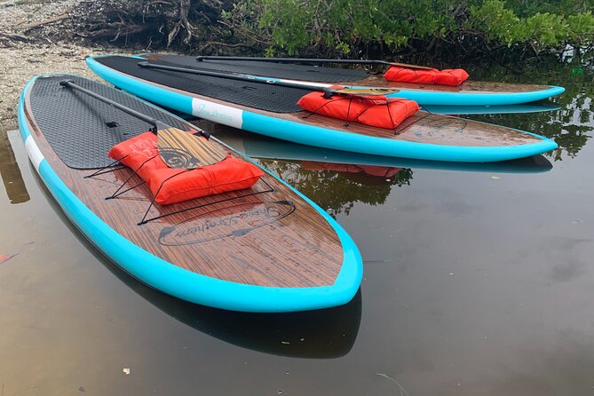 Dolphin and Manatee Adventure Tour of Sarasota with Olde Florida History! - Choosing between a kayak and a paddle board