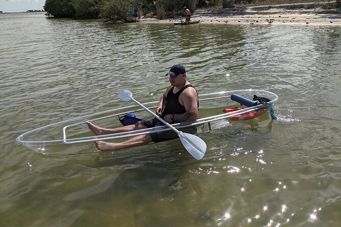 Dolphin and Manatee Clear Kayak or Paddleboard Tour - Choosing the best of the three daily departure times