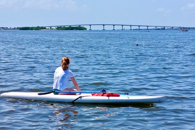 Dolphin and Manatee Clear Kayak or Paddleboard Tour - Stopping for a swim or time on the islands