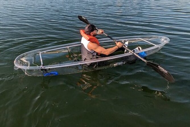 Dolphin and Manatee Clear Kayak or Paddleboard Tour - What the $75 price gets you