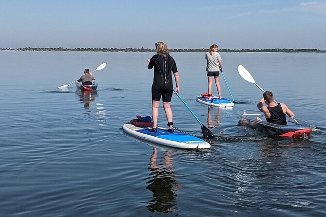 Dolphin and Manatee Clear Kayak or Paddleboard Tour - Who will enjoy this Merritt Island wildlife tour