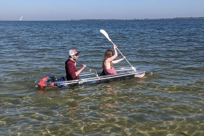 Dolphin and Manatee Clear Kayak or Paddleboard Tour - The first paddle and the two-hour rhythm
