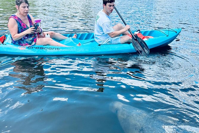 Dolphin and Manatee Kayak and SUP Adventure Tour of Cocoa Beach - Key points at a glance