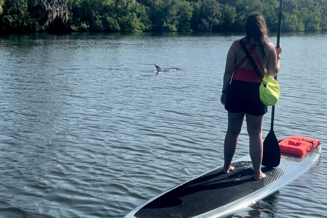 Dolphin and Manatee Kayak and SUP Adventure Tour of Cocoa Beach - Why the Banana River is the real attraction
