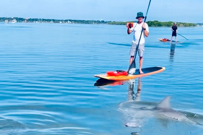 Dolphin and Manatee Kayak and SUP Adventure Tour of Cocoa Beach - Passing through Thousand Islands